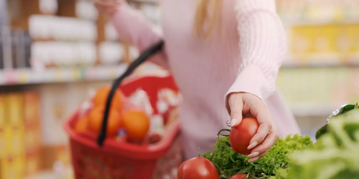 Deadline Reminder Up to $1,756 SNAP Payments Released Through July 15